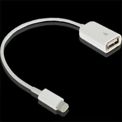 Adaptateur OTG Blanc pour iphone 5